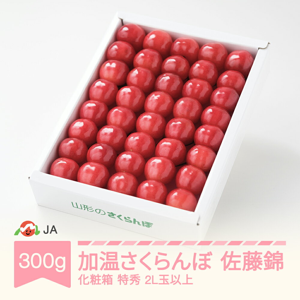 【ふるさと納税】【先行予約】 加温ハウス さくらんぼ 佐藤錦 2026年産 令和8年産 300g 化粧箱 特秀2L玉以上 早出し 送料無料 サクランボ