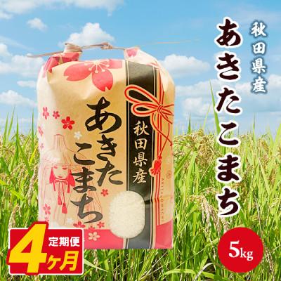 ふるさと納税 八郎潟町 【毎月定期便】あきたこまち 5kg【白米】 秋田県産全4回