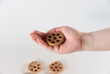 《毎月数量限定》箸置き5個セット れんこん