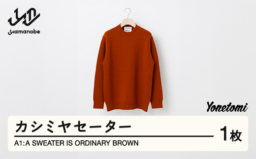 
A1 : A SWEATER IS ORDINARY BROWN ブラウン カシミヤセーター 服 洋服 ユニセックス メンズ レディース ブランド 数量限定 山形県 山辺町 yt-soxxb
