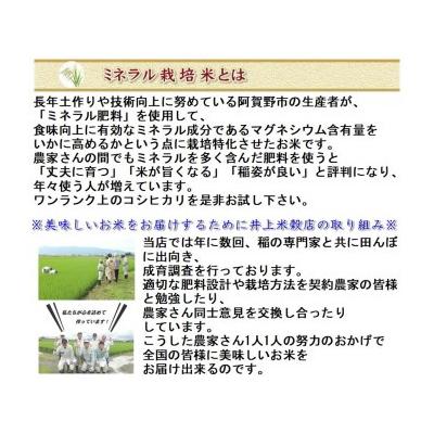 ふるさと納税 阿賀野市 【令和7年産】【6回定期便 】ミネラル栽培こしひかり 5kg×6回 計30kg 井上米穀店 |  | 01