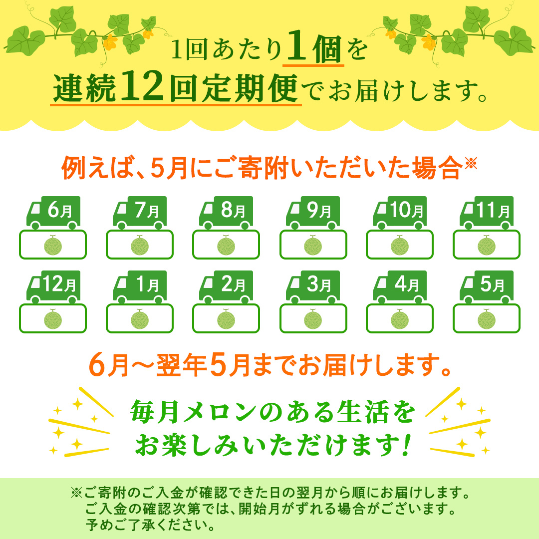 【定期便】 赤肉アールスメロン 1玉 × 12か月連続 赤肉 高糖度 甘い 美味しい フルーツ 誕生日 プレゼント ギフト 贈り物 父の日 母の日 1個 [FC38-NT]_イメージ5