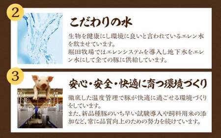 【定期便6回】納豆喰豚 お楽しみ定期便（味付け肉、しゃぶしゃぶ用、焼肉・生姜焼き用）天狗 なっとく豚 食べ比べ 定期便 6カ月 定期下呂温泉 おすすめ 豚肉 なっとくとん ブランド豚 国産  ギフト 