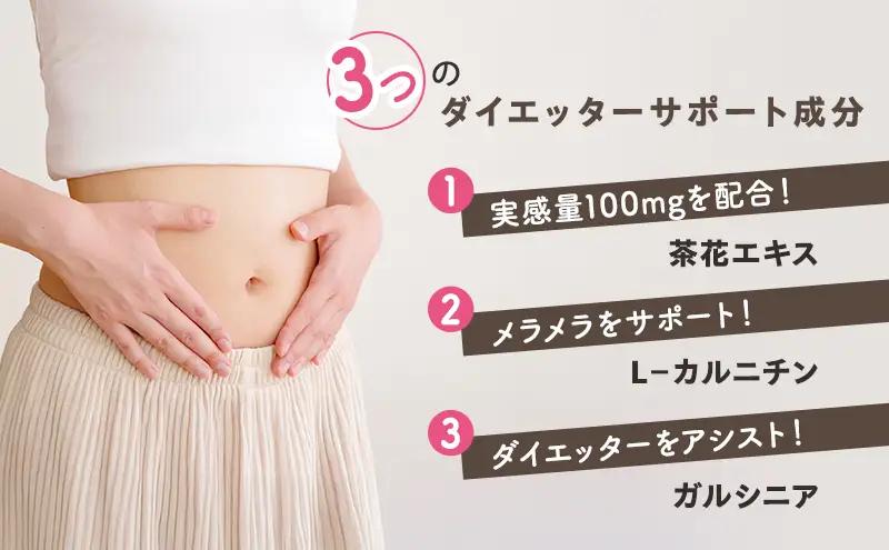 定期便 12回 エクササイズ 紅茶 30本入り 1袋 美容 健康 ダイエット 飲料 ポリフェノール アミノ酸 食物繊維 コーヒークロロゲン酸 コエンザイムQ10 L-カルニチン 燃焼サポート 送料無料
