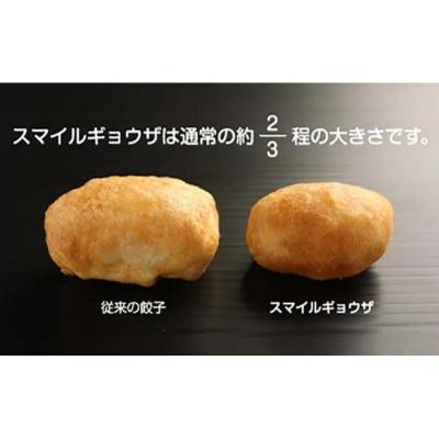 ふるさと納税 名古屋市 カリットギョウザ まるごとセット3種(48ケ)餃子 水餃子 スマイル餃子 |  | 03