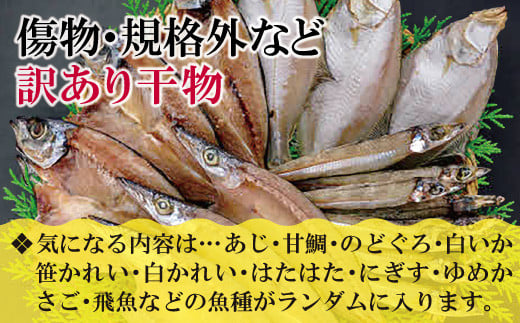 訳あり干物　オススメ魚種が届きます