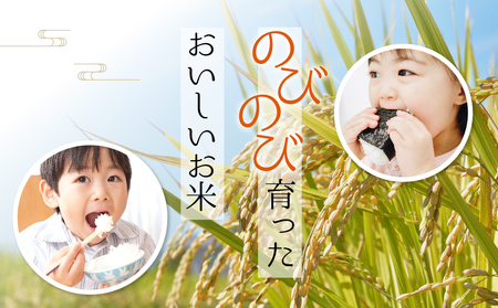 【コシヒカリ・農家指定無】令和6年産　阿蘇の美味しいお米をお届け！5kg×1袋　白米 お米 人気 美味しい 白ご飯 こだわり 農業 甘味 香り ツヤ お米の王様 熊本県 阿蘇市