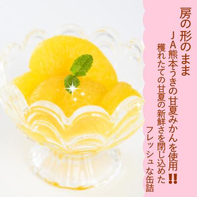 ふるさと納税 宇城市 【 JA 熊本うき】三角特産 甘夏みかん缶詰 6缶入り★ |  | 01