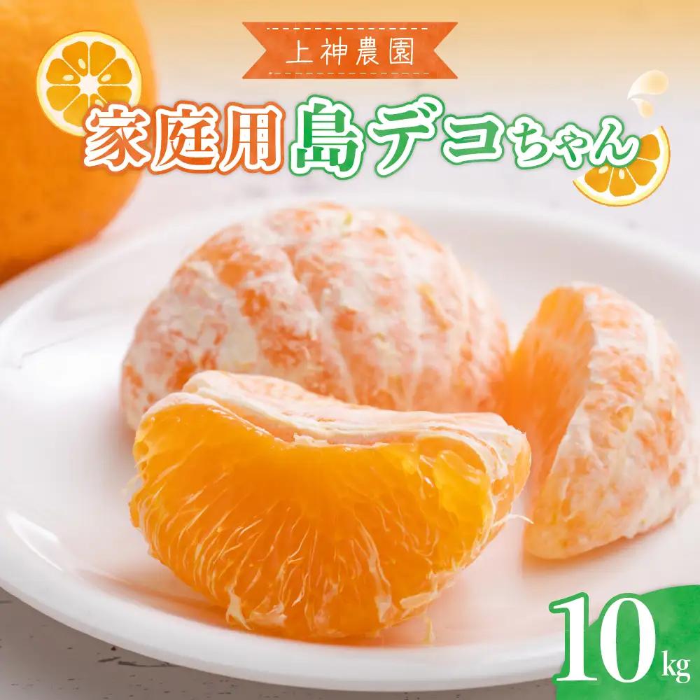 先行受付 2027年2月中旬～発送 島デコちゃん約10kg 家庭用
