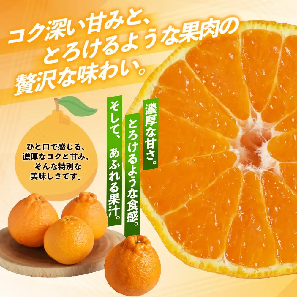 不知火 笹本農園の不知火 約5kg サイズ混合 みかん【ssmt0001】
