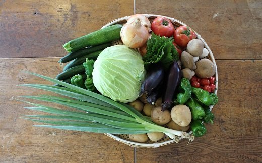 京丹波町和知地区で栽培された旬の地場野菜おまかせ詰め合わせ【新鮮 旬野菜 季節の野菜 野菜 地元野菜 詰め合わせ セット】 ※北海道北海道・東北・沖縄は配送不可