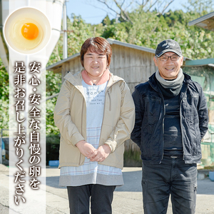 【令和7年お歳暮対応】健康電子卵 赤卵 Lサイズ 80個（10個×8パック）（うち、割れ保証分10個）国産 鹿児島県産 鶏卵 1パック10個入りで使い勝手がいい！【SA-303H】