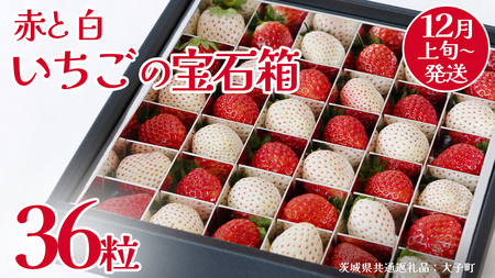 赤いちご と 白いちご の宝石箱36粒【2025年12月上旬発送開始】(茨城県共通返礼品：大子町)