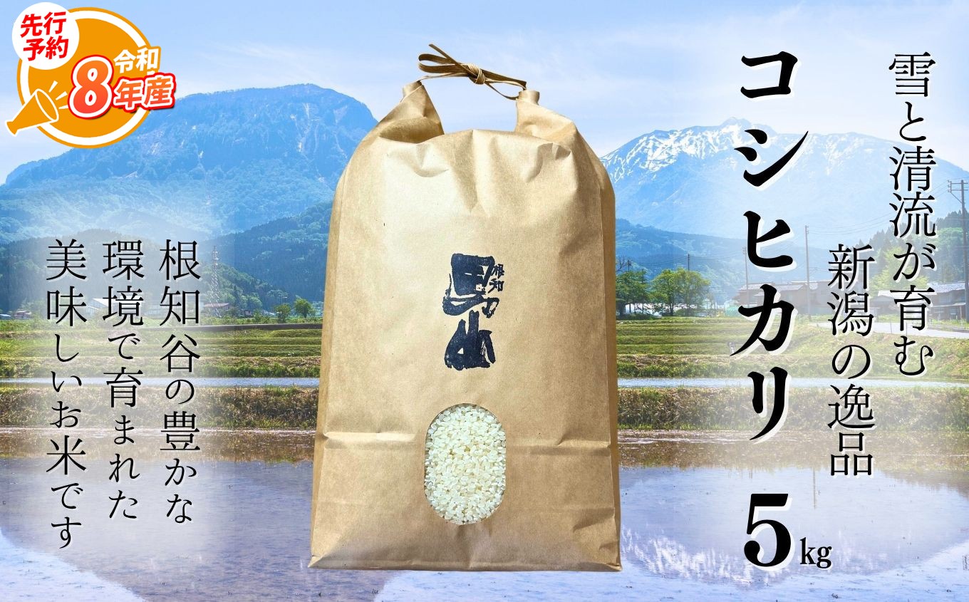 
                  【選べる発送時期】【先行予約】令和8年産新米 新潟県糸魚川産コシヒカリ 5kg 2026年産 根知男山の酒蔵が作る自慢の逸品【米 お米 白米 こめ コメ ご飯 ライス ふるさと納税米 ブランド米 こしひかり 新潟県 糸魚川 食品 人気 おすすめ 5キロ 渡辺酒造店 減農薬】
                
