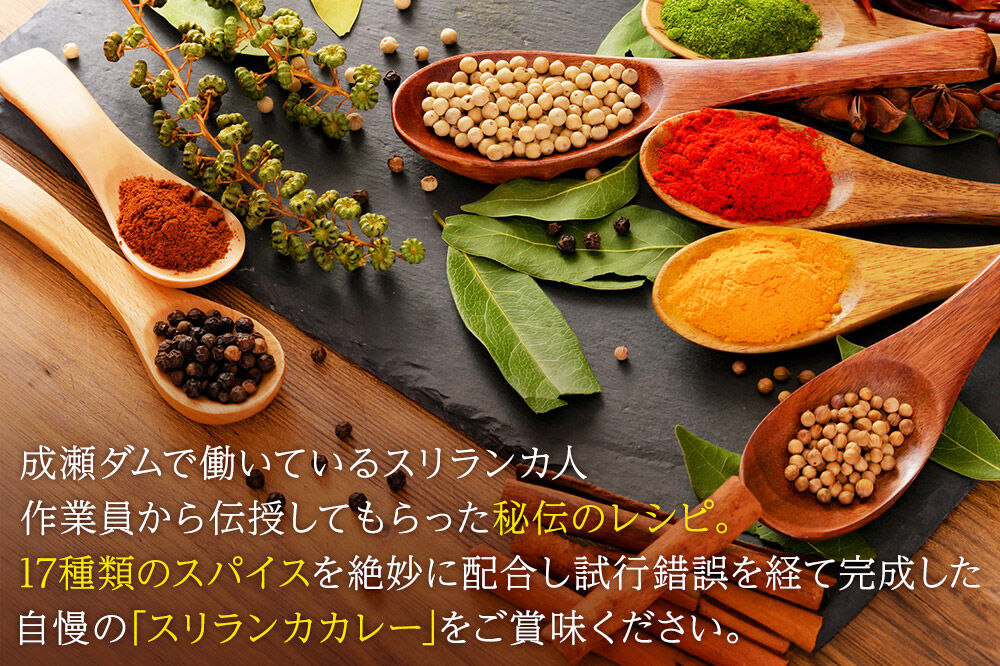 成瀬ダム スリランカカレー 100g×5個 [カレー スリランカ レトルト パウチ 防災 非常食 食品 備蓄 ストック 常温 保存 お手軽 ポークカレー 豚肉 グルメ 惣菜 夜ごはん ランチ 昼ごはん