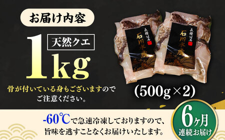 【全6回定期便】【 対馬産 】 天然 クエ 1kg（500g×2）（切り身） 鍋 水炊き 海鮮 クエ 天然クエ [WAB025]
