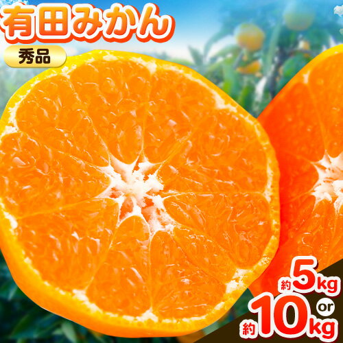 【ふるさと納税】【秀品】紀州有田みかん 選べる内容量 約5kg 約10kg （S〜L サイズおまかせ）《11月下旬-1月上旬頃出荷》 ライスショップ 和歌山県 日高町 柑橘 フルーツ みかん 有田みかん 有田 みかん 有田ミカン 有田蜜柑 秀品 選べる みかん 和歌山 有田 ミカン
