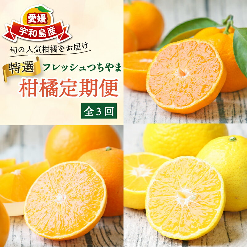 【ふるさと納税】 特選 旬の 柑橘定期便 全3回 吉田みかん 愛果28号 媛小春 フレッシュつちやま 温州みかん 温州 果物 フルーツ 柑橘 みかん 蜜柑 くだもの ミカン あいか ていきびん プレゼント ギフト 愛媛県産 愛媛みかん 産地直送 数量限定 国産 愛媛 宇和島 B054-096022