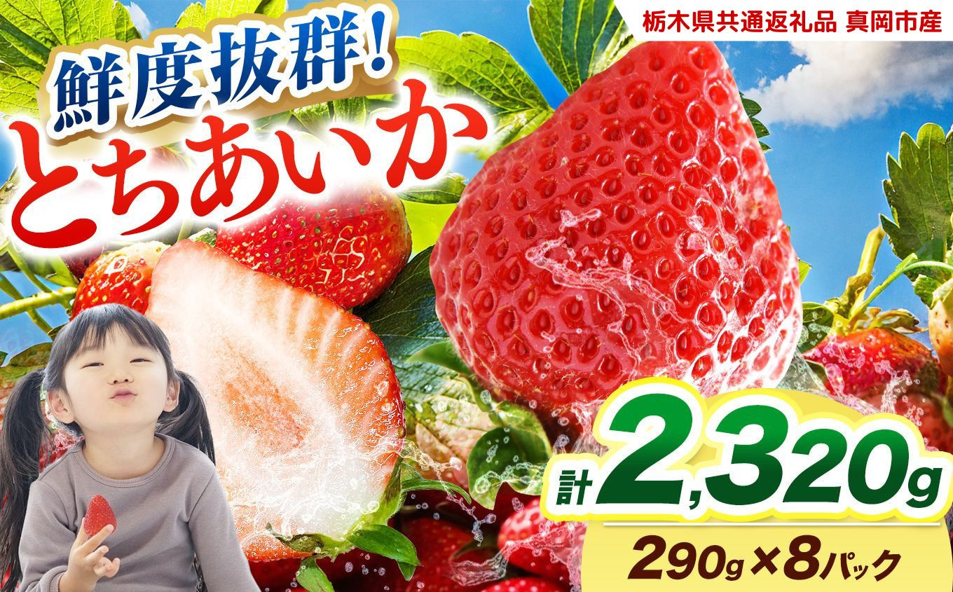  【2027年先行予約】鮮度抜群 いちご とちあいか 290g×8P【栃木県共通返礼品 真岡市産】 栃木県矢板市 約290g×8P | 21,000円