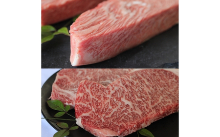 伊賀牛 ステーキ 2種類食べ比べセット 200g×4枚【koma0019】