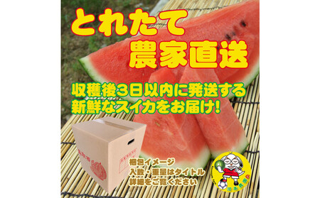1254.【先行予約】鳥取スイカの食べ比べ！2玉セット（赤肉すいか＆金色羅皇）