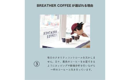 BREATHER COFFEE 珈琲飲み比べセット100g x 3袋 挽き方選択可 コーヒー 豆 極細引き エスプレッソ用 中粗挽き ペーパードリップ用 スペシャリティコーヒー 中粗挽き