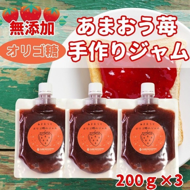 
                  いちごジャム あまおうとオリゴ糖のジャム 200g×3袋 手作り 国産 チューブ パウチ入り
                