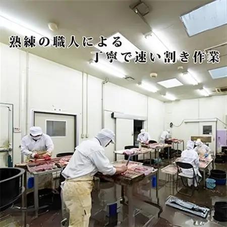 浜名湖産うなぎ　白焼・蒲焼パック各5パック詰合せ_うなぎ 鰻 白焼き 浜名湖産 蒲焼き 詰め合わせ_【配送不可地域：離島】【1488846】