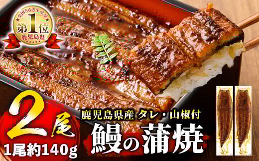 s244 鹿児島県産 鰻蒲焼真空2尾セット！(計約280g・約140g×2)嬉しいタレ・山椒付！ 鹿児島 九州産 国産 うなぎ ウナギ 鰻 土用の丑の日 蒲焼き うな重 ひつまぶし【薩摩川内鰻】