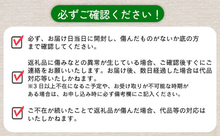 【先行予約】 とうもろこし アフロコーン 約5kg （2026年7月上旬～8月上旬配送） とうもろこし