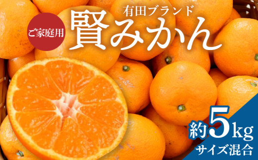 ZD92065_【2025年先行予約】【家庭用】有田ブランド 賢みかん 約5kg（サイズ混合）
