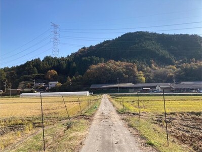 米 令和7年産 コシヒカリ 3kg 京都丹波 白米