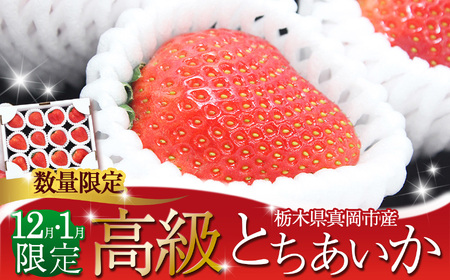 鮮度抜群！朝採れ旬の高級とちあいか 12粒又は15粒