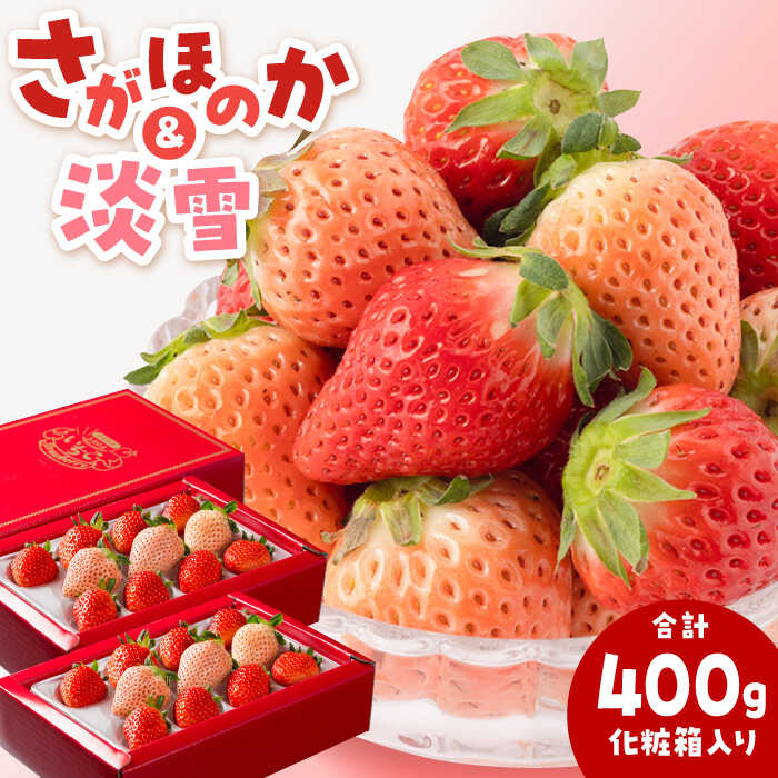【ふるさと納税】【先行予約】淡雪＆さがほのか 赤白 いちごセット200g × 2パック 合計400g（化粧箱入り）【岸川農園】イチゴ 白イチゴ 苺 果物 フルーツ 佐賀県 白石町 [IAP032]
