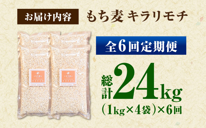 【全6回定期便】もち麦 キラリモチ 4kg（1kg×4袋）/ 雑穀 雑穀米 / 佐賀県 / 大塚米穀店 [41ANAD010]