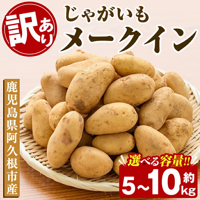 【ふるさと納税】＜先行予約受付中！2026年5月下旬以降順次発送予定＞＜内容量が選べる！＞訳あり！じゃがいも「メークイン」(約5〜10kg) じゃがいも ジャガイモ 芋 国産 野菜 期間限定 数量限定【古田果樹園】
