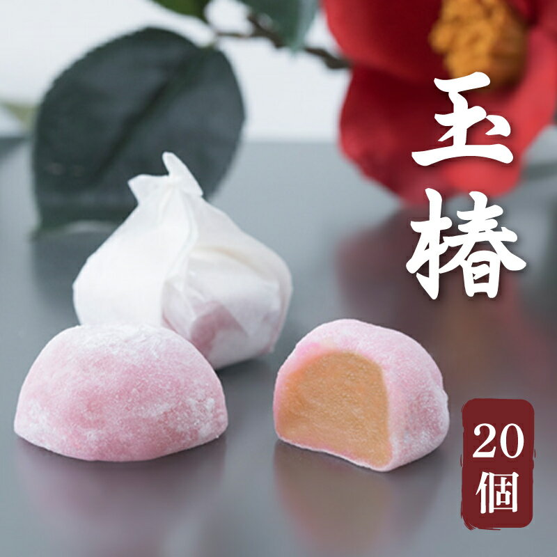 【ふるさと納税】 玉椿 20個入り 【 お菓子 和菓子 生菓子 スイーツ 和スイーツ 手土産 贈答品 スイーツ お茶のお供 黄身餡 求肥 白小豆 香り豊か 上品な甘み 】 お届け：1月下旬〜11月末