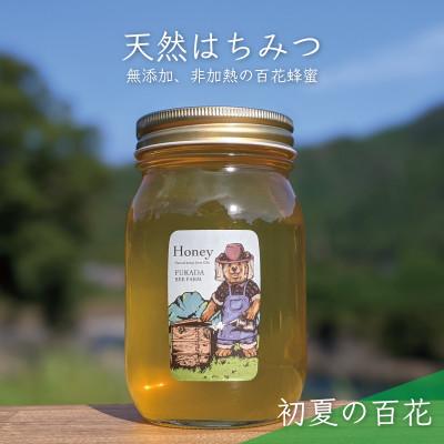 ふるさと納税 美濃市 600g 深田養蜂の天然蜂蜜 国産蜂蜜 非加熱 生はちみつ 岐阜県 美濃市産 初夏 B5