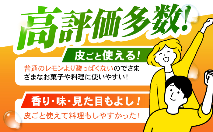 ※【2025年11月中旬より順次発送／先行予約】【贈答用】マイヤーレモン 5kg / レモン れもん 檸檬 果汁 柑橘 フルーツ ふるーつ 果物 くだもの / 諫早市 / 山野果樹園 [AHCF014