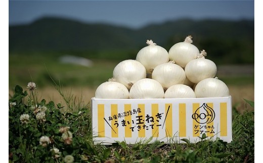 
                  【先行受付！】希少！特別栽培真っ白な白たまねぎ　3kg　～ひょうご安心ブランド認証取得～◆配送５月中旬～６月下旬
                