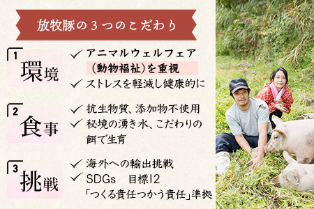 宮崎県産【訳あり】THE HOUBOQ 魅力の満足セット 豚肉 スライス肉指定バージョン 合計2.5kg[宮崎 椎葉村 豚肉 豚 肉 ぶた にく ぶたにく おにく お肉 訳あり スライス スライス肉 
