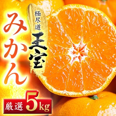 【愛媛名産】玉宝みかん【雫・・小玉】(5kg)【C64−2】【1340914】