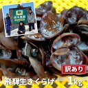 【ふるさと納税】生きくらげ 1kg　政木農園 キクラゲ 飛騨 簡易包装 訳アリ わけあり ワケアリ 家庭用 [Q1297wx] 10000円 1万円 《hida0307》