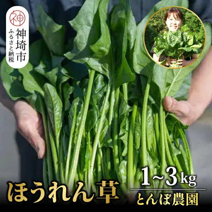 【ふるさと納税】佐賀県脊振山麓産 ほうれん草 バラ詰め【1kg / 2kg / 3kg】