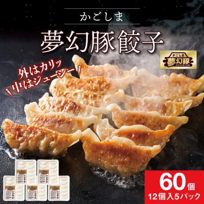 ふるさと納税 鹿屋市 かごしま夢幻豚餃子60個　2773(鹿屋市)