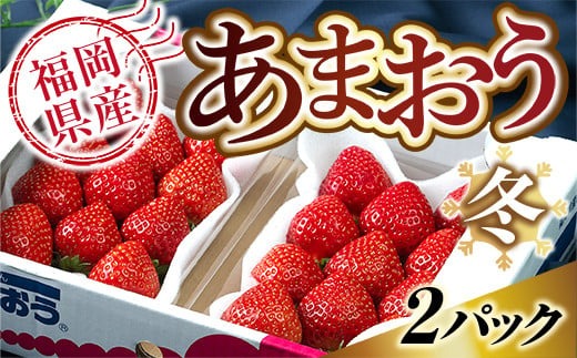 福岡産あまおう冬2パック ※2024年12月上旬から2025年1月下旬に順次発送予定　AX001