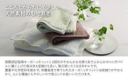 やわふわ甘撚りオーガニック フェイスタオル(アイスグリーン×6枚) 【m100-22-6P-B】【トクダ】