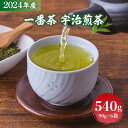 【ふるさと納税】2024年産 一番茶 宇治煎茶540g 90g×6袋 送料無料 お茶 宇治茶 煎茶 緑茶 AG05