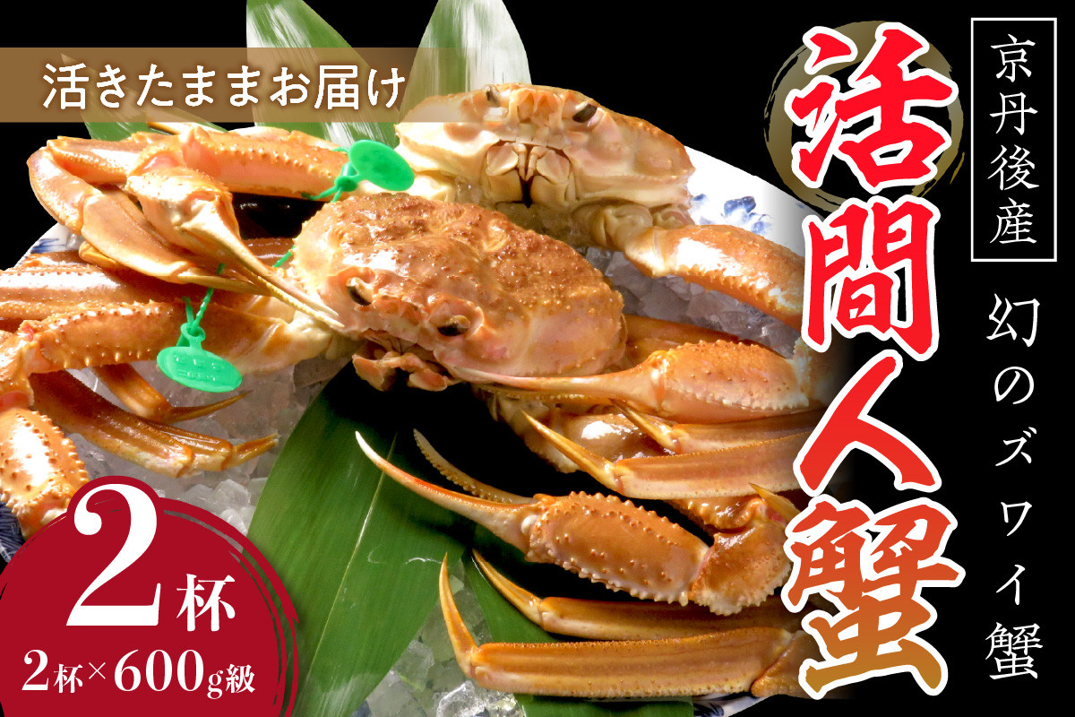 
                  【幻のズワイ蟹】　京丹後産　活間人蟹（中）　鮮度抜群、活きたままお届け！！ 600g級×2杯　YK00089
                