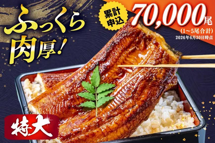 【定期便3回】うなぎ 蒲焼 特大  訳あり 3尾 うなぎ